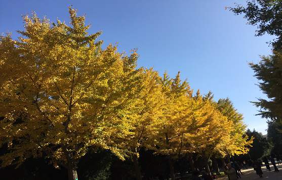 北京公司注冊(cè)需要找哪些專業(yè)機(jī)構(gòu)幫助？